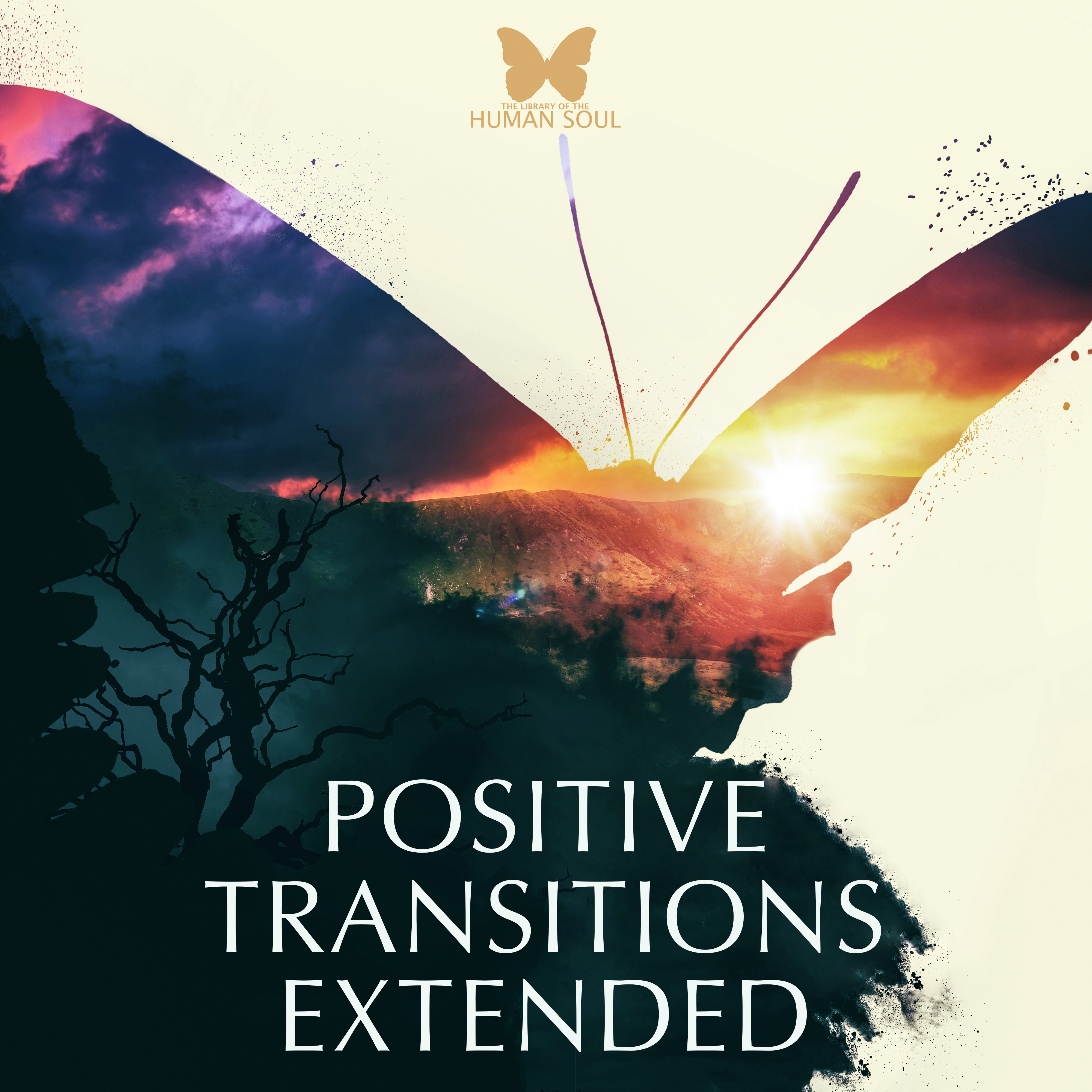 Positive Transitions Extended