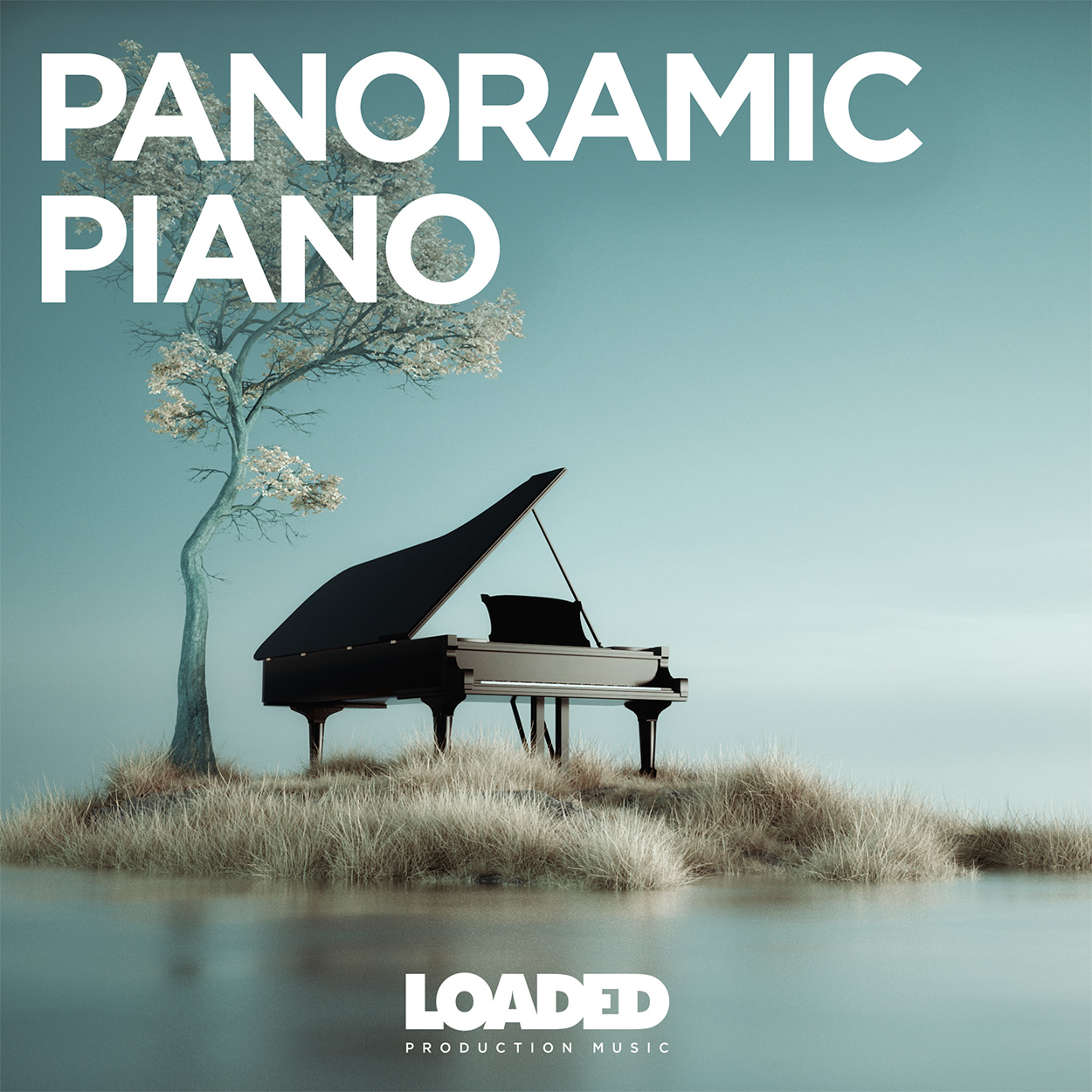 Panoramic Piano