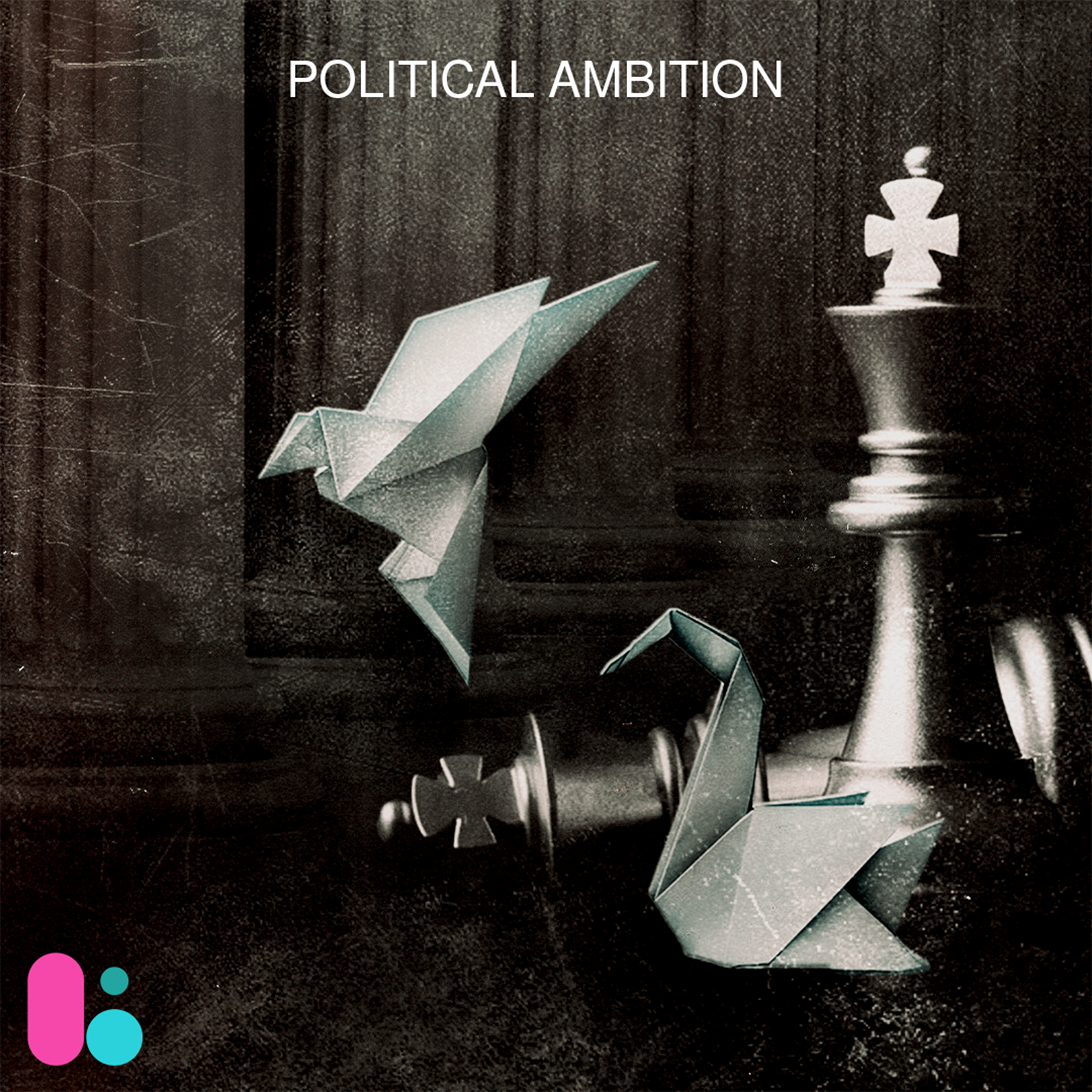 Political Ambition