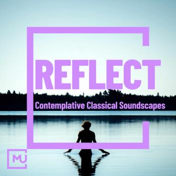 Reflect