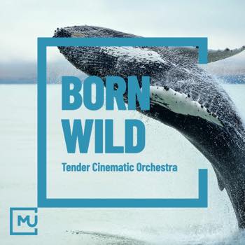 Born Wild
