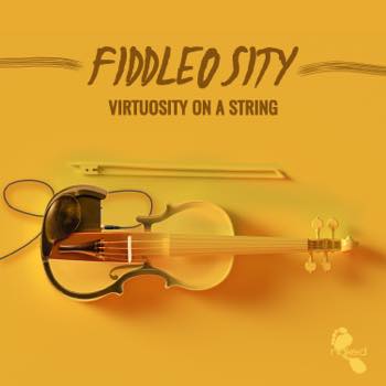 Fiddlosity - Viruosity On A String