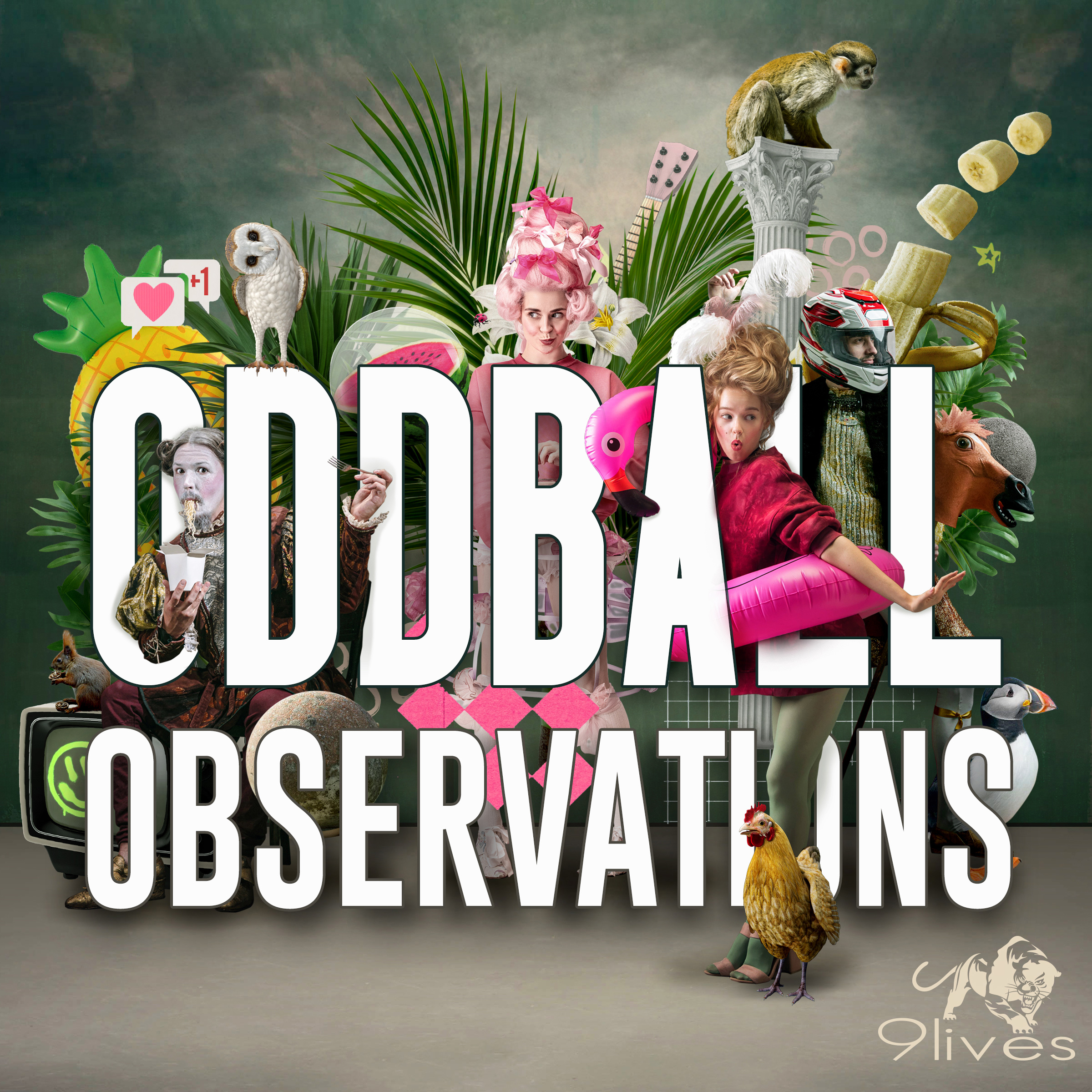 Oddball Observations