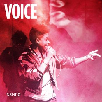 Voice