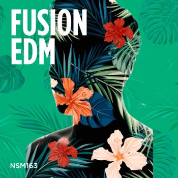 Fusion Edm