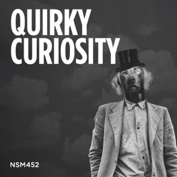 Quirky Curiosity