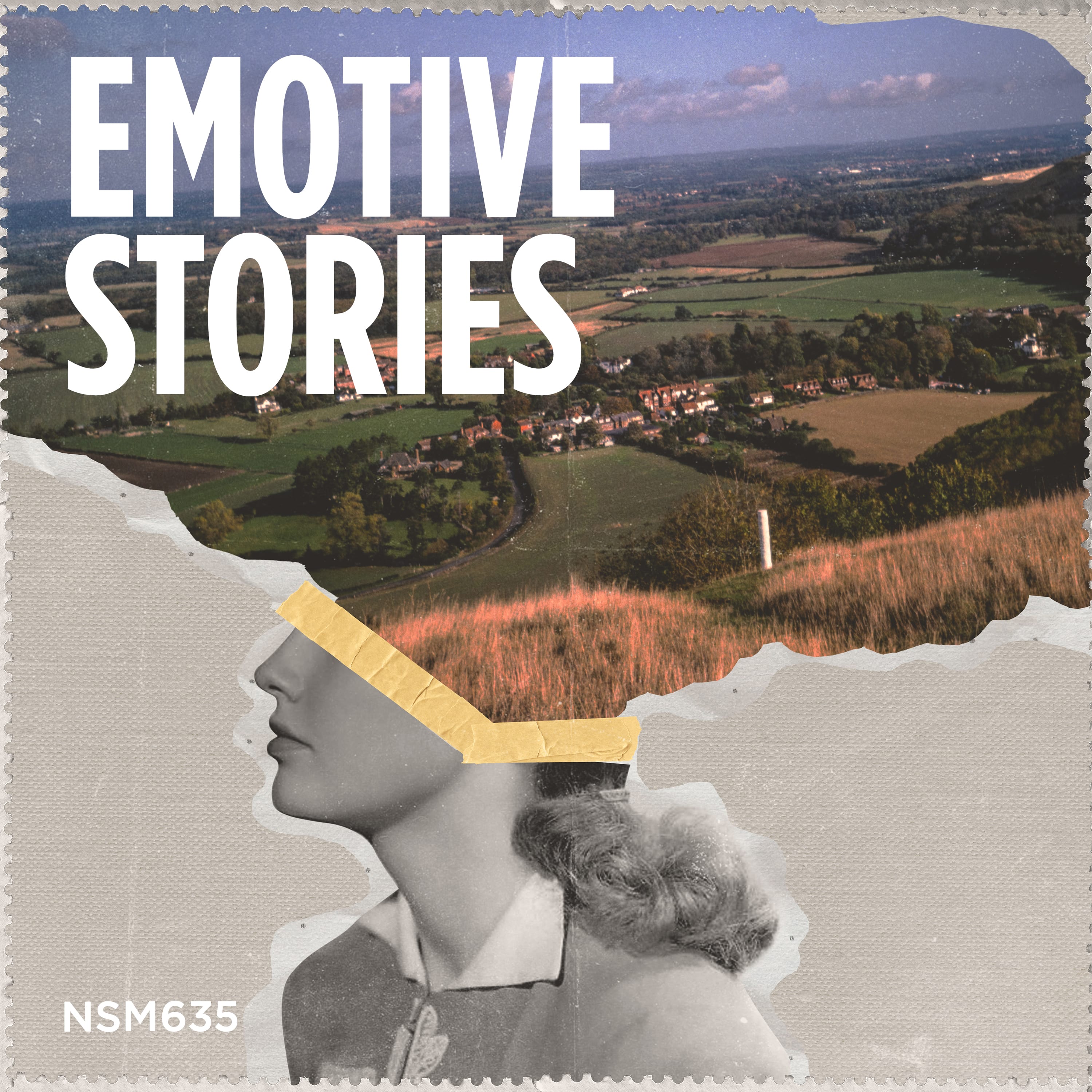 Emotive Stories
