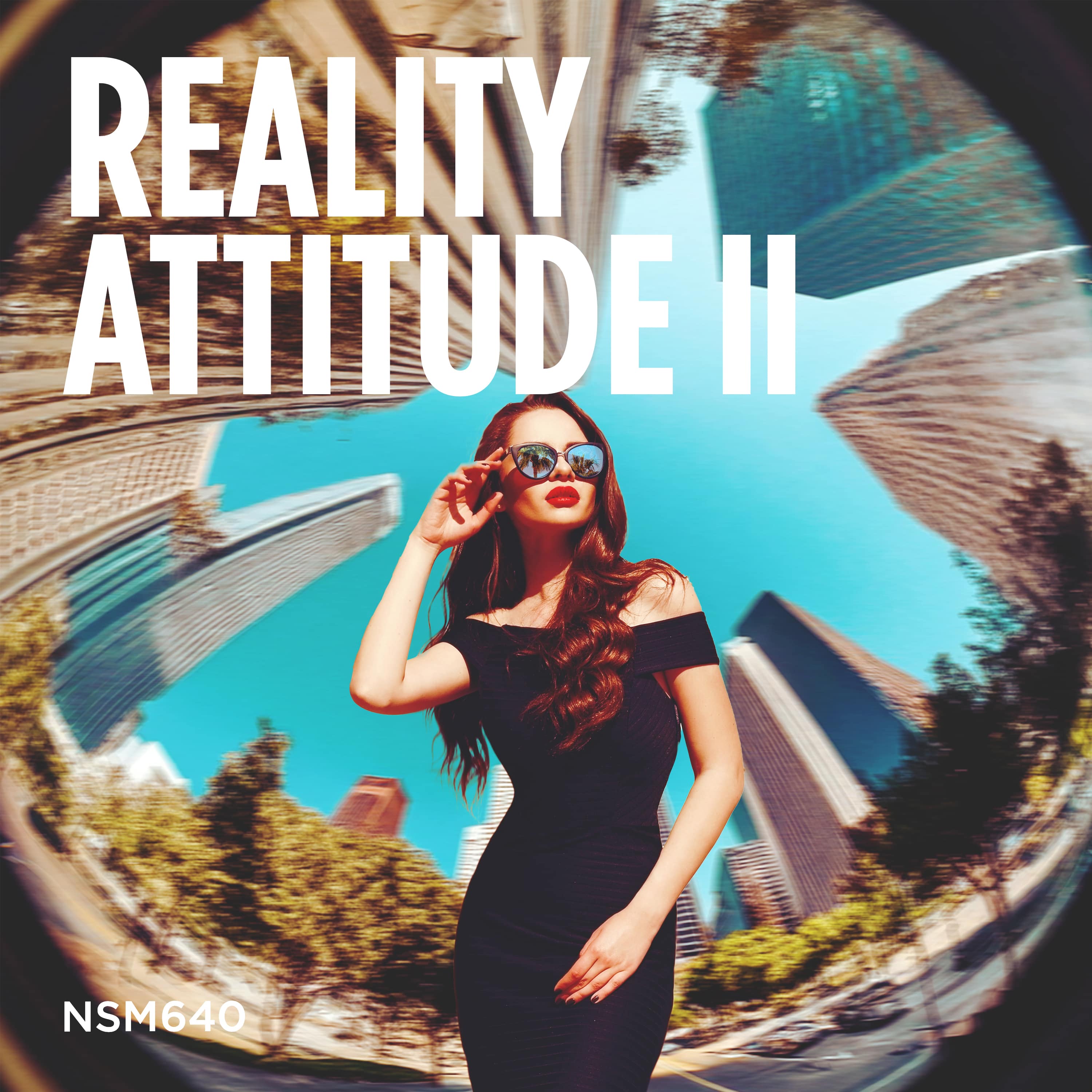 Reality Attitude II