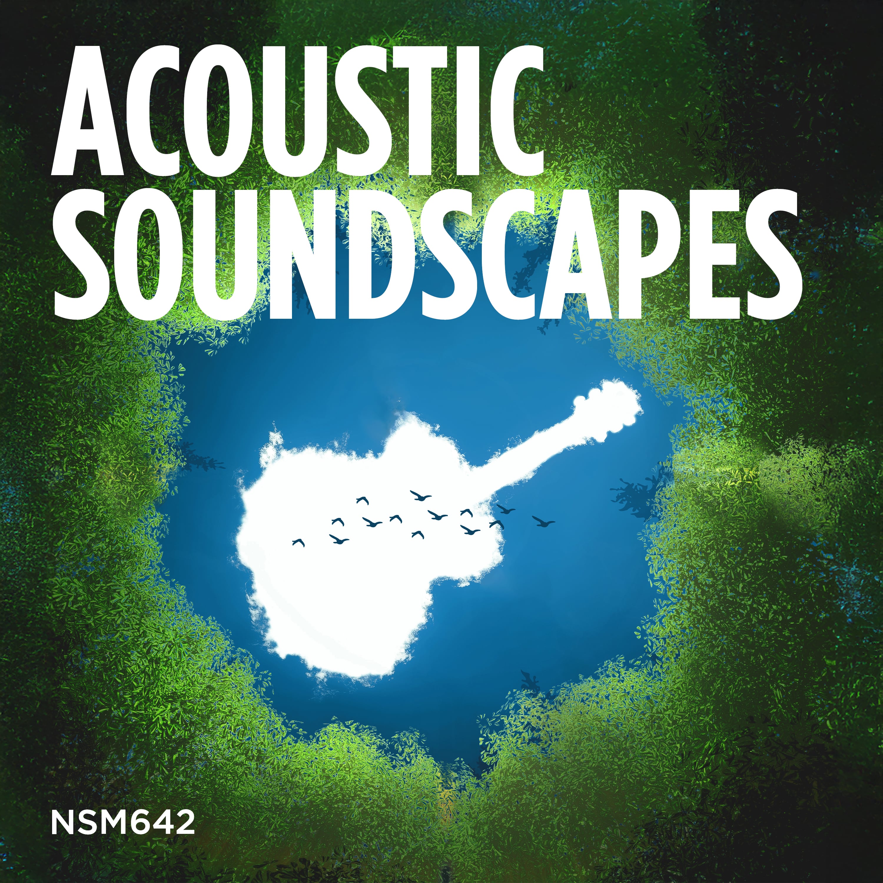 Acoustic Soundscapes