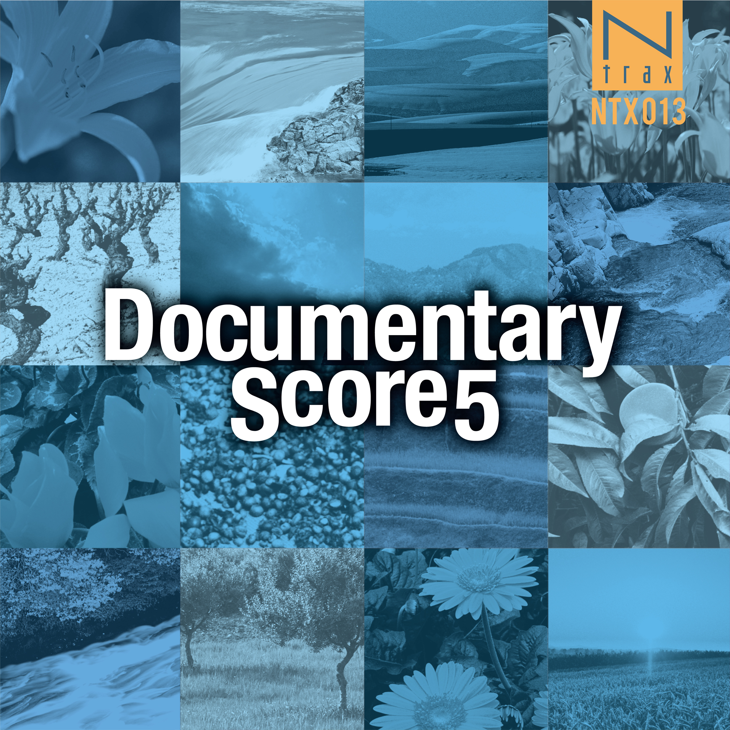 Documentary Score 5