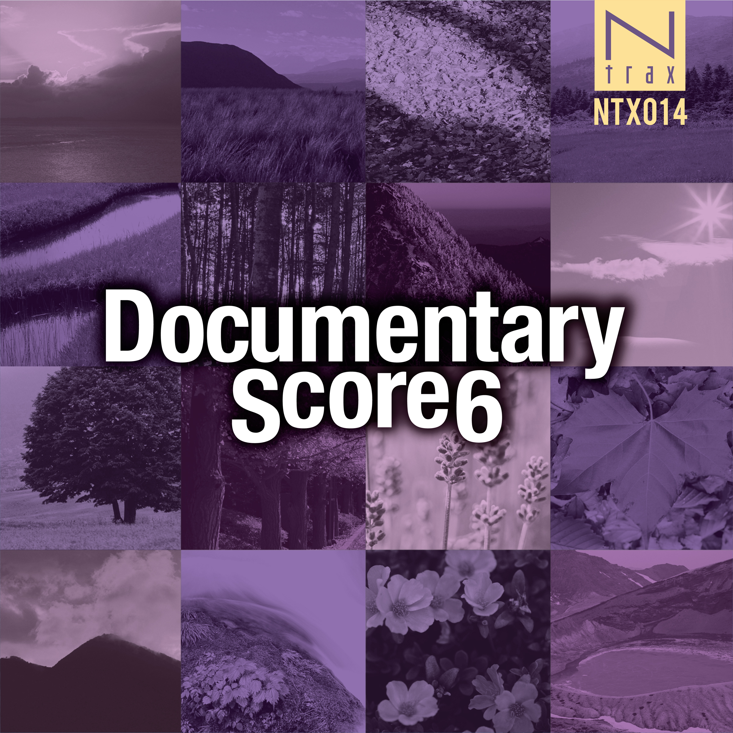 Documentary Score 6