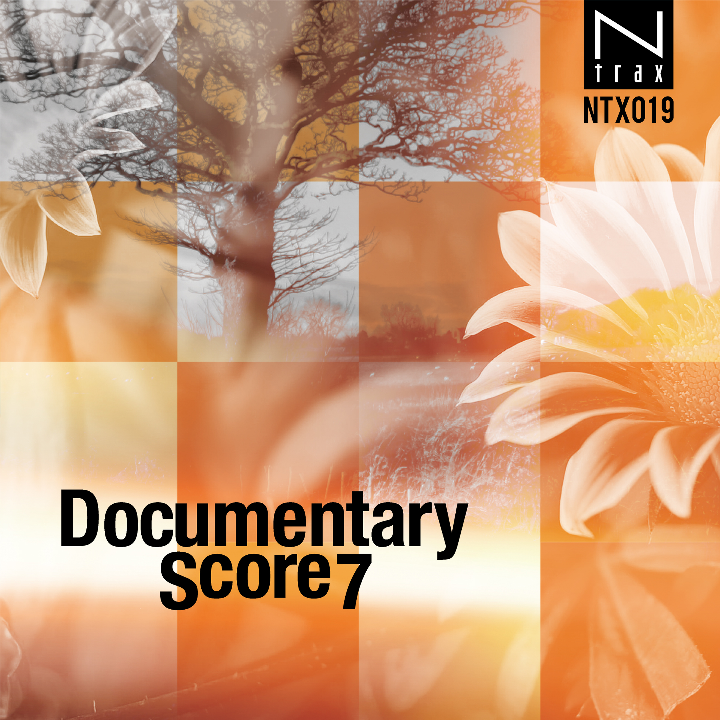 Documentary Score 7
