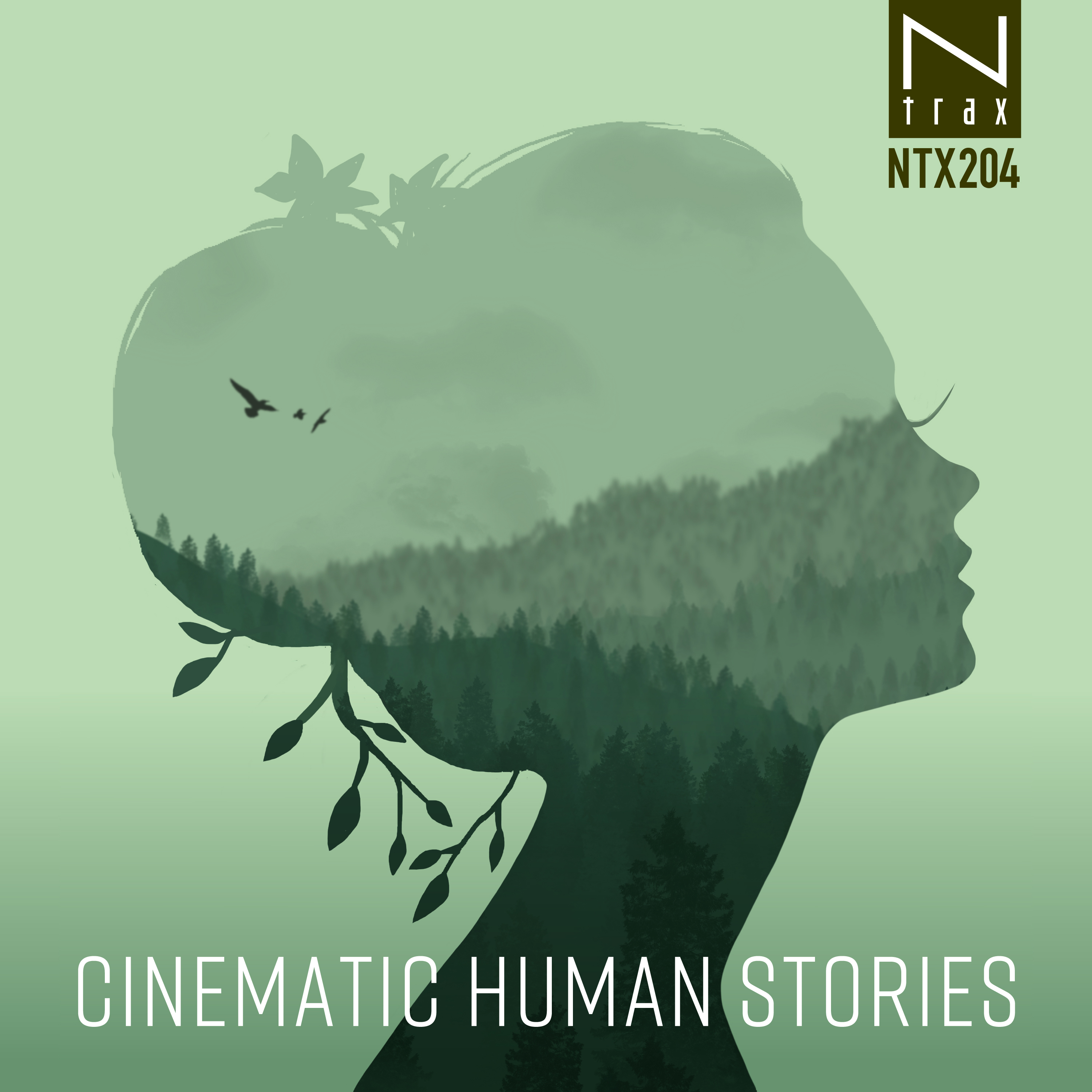 Cinematic Human Stories