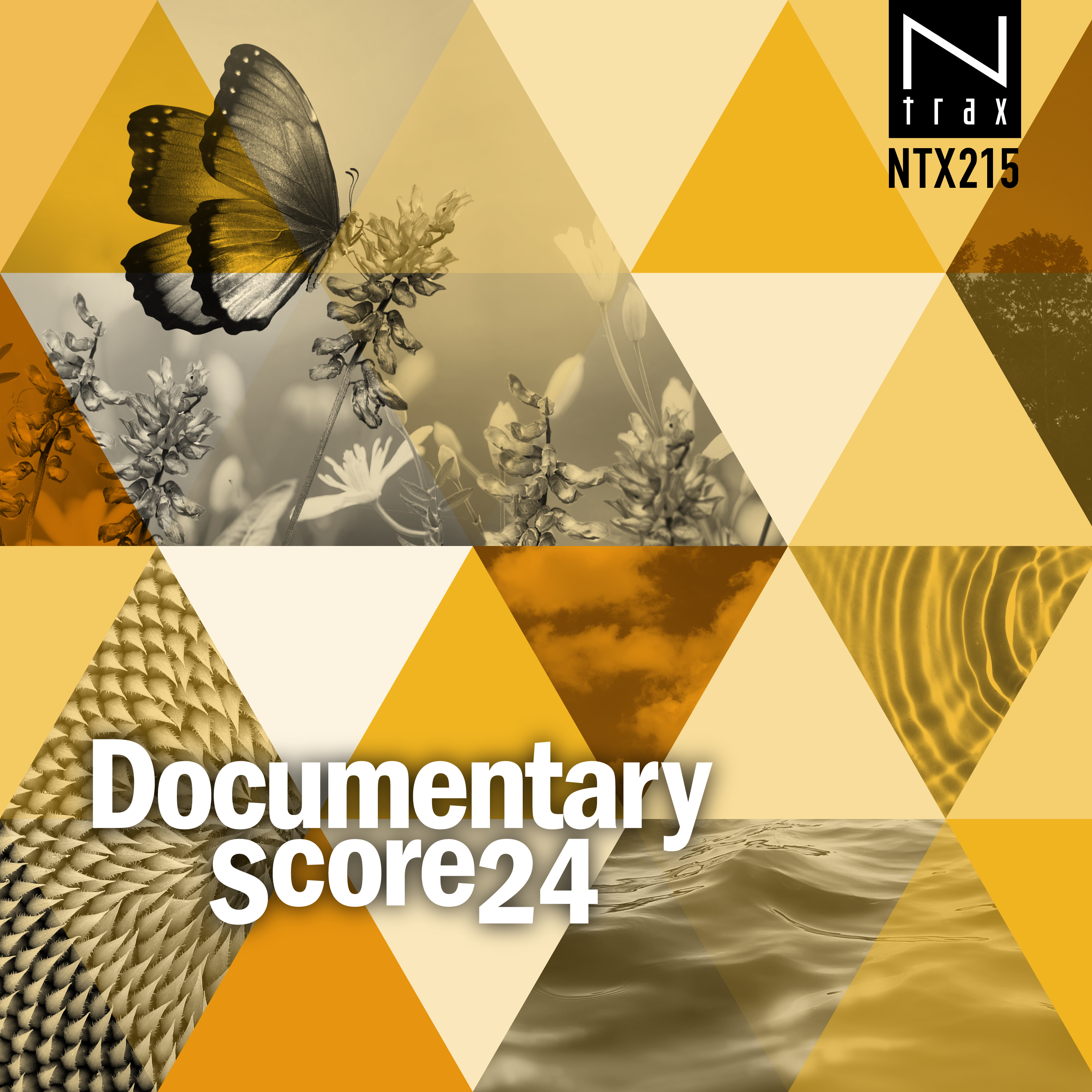 Documentary Score 24