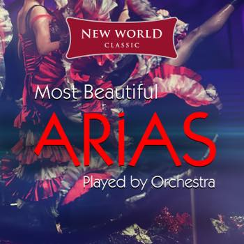 Most Beautiful Aria Instrumentals played by Orchestra