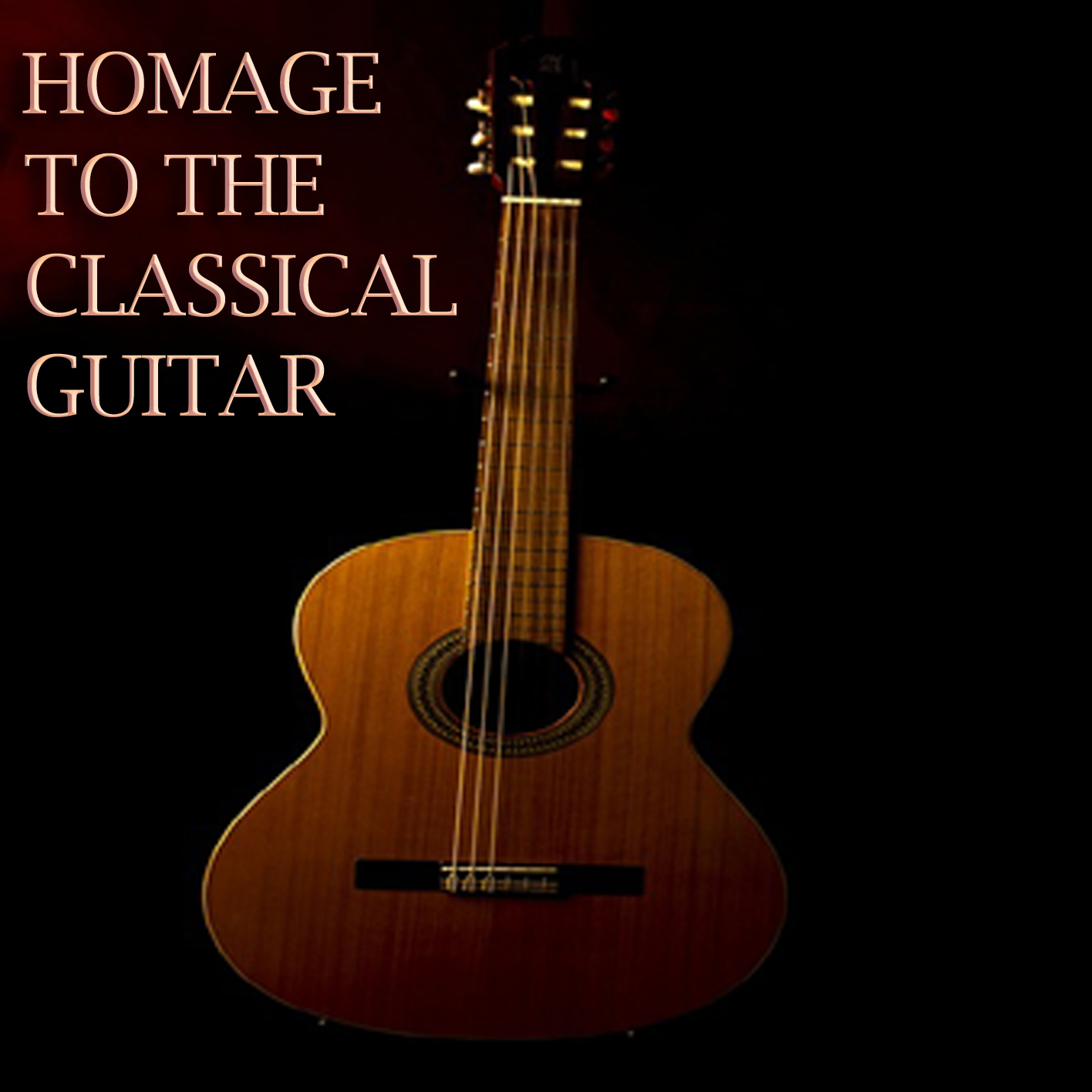 HOMAGE TO THE CLASSICAL GUITAR