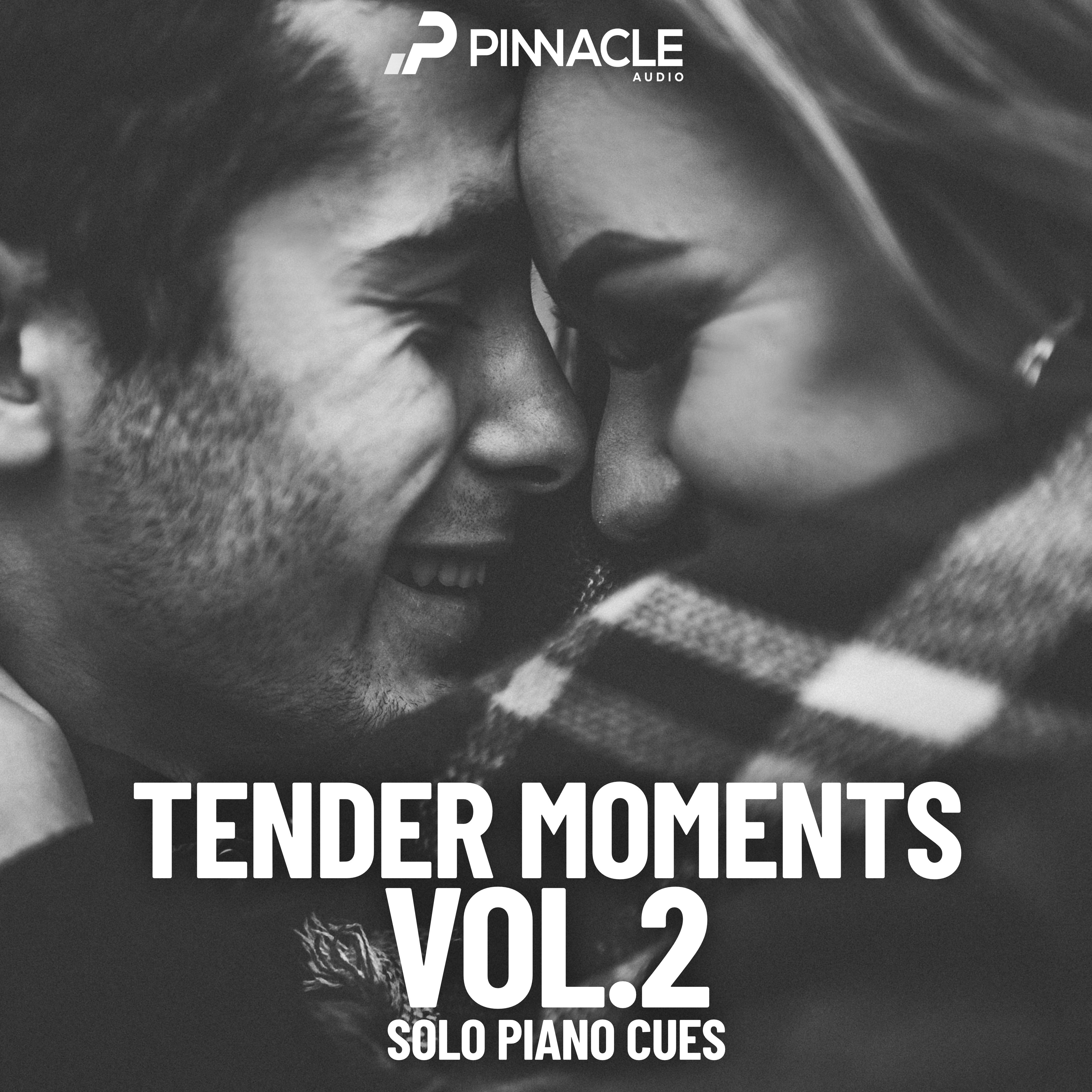 Tender Moments Vol.2