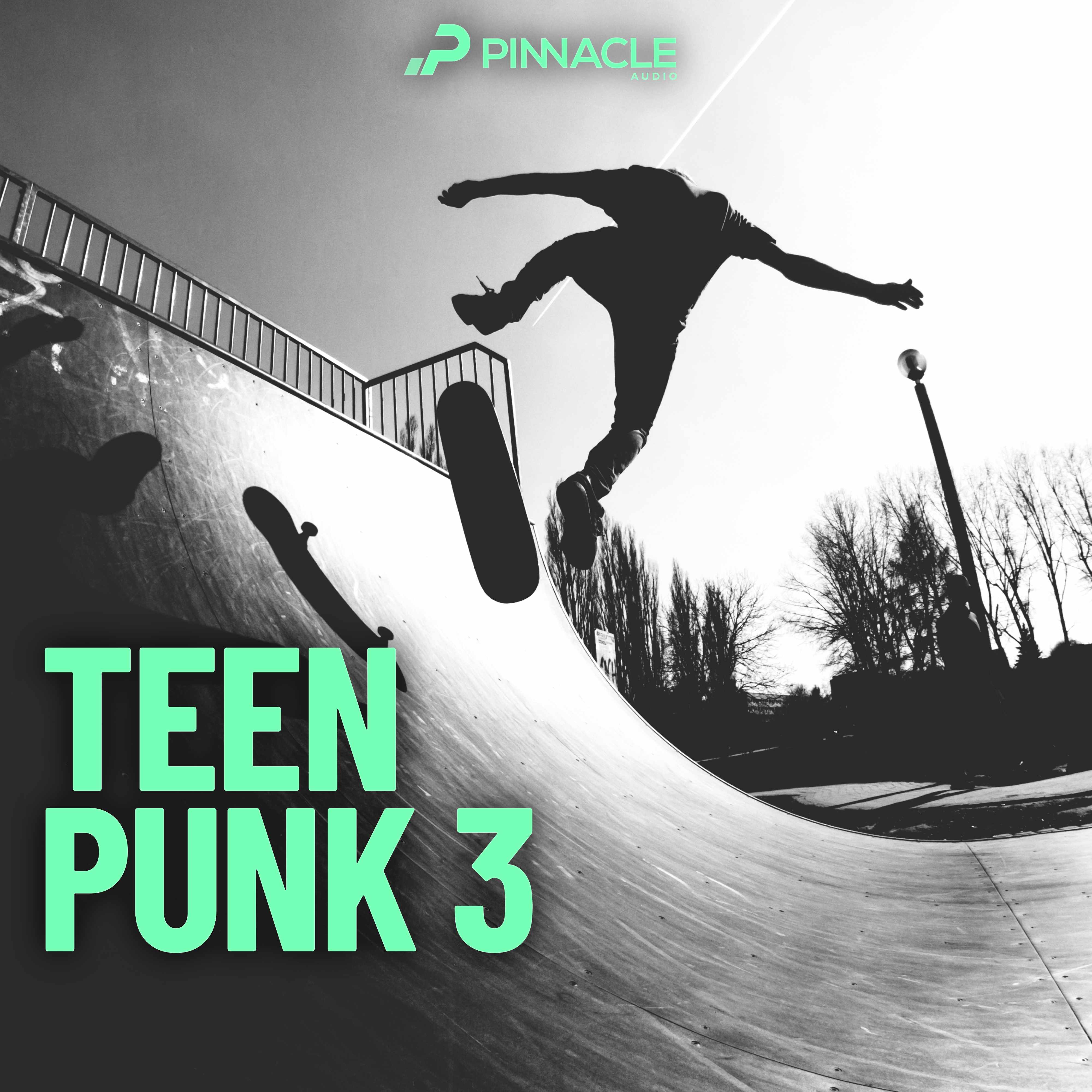 Teen Punk 3