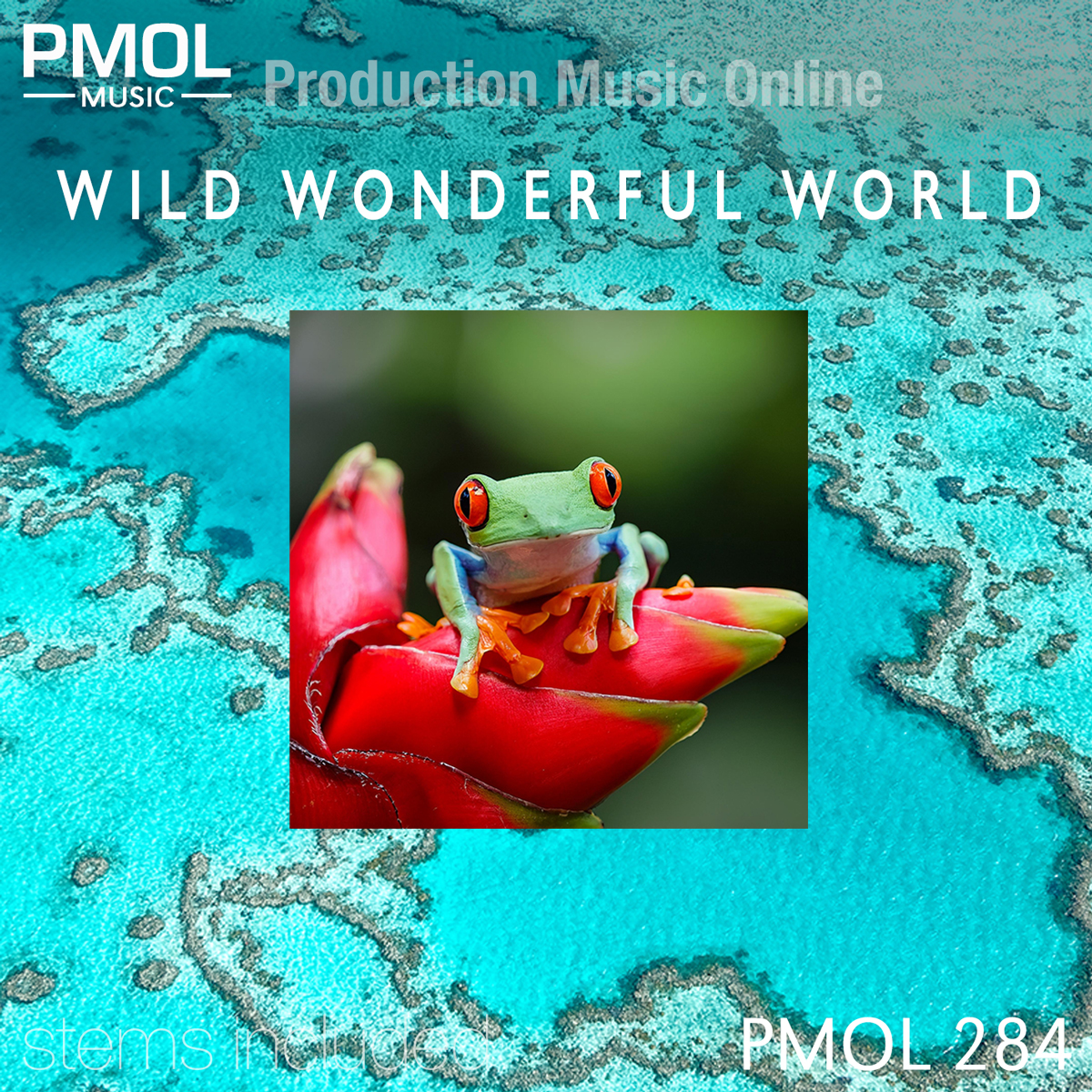 Wild Wonderful World
