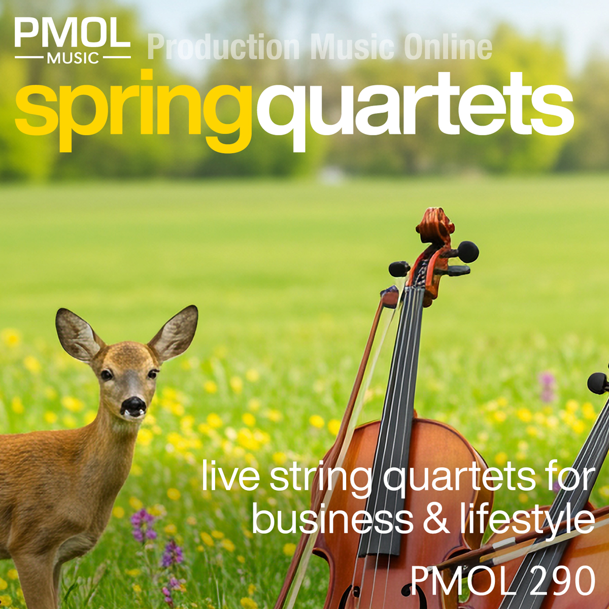 Spring Quartets