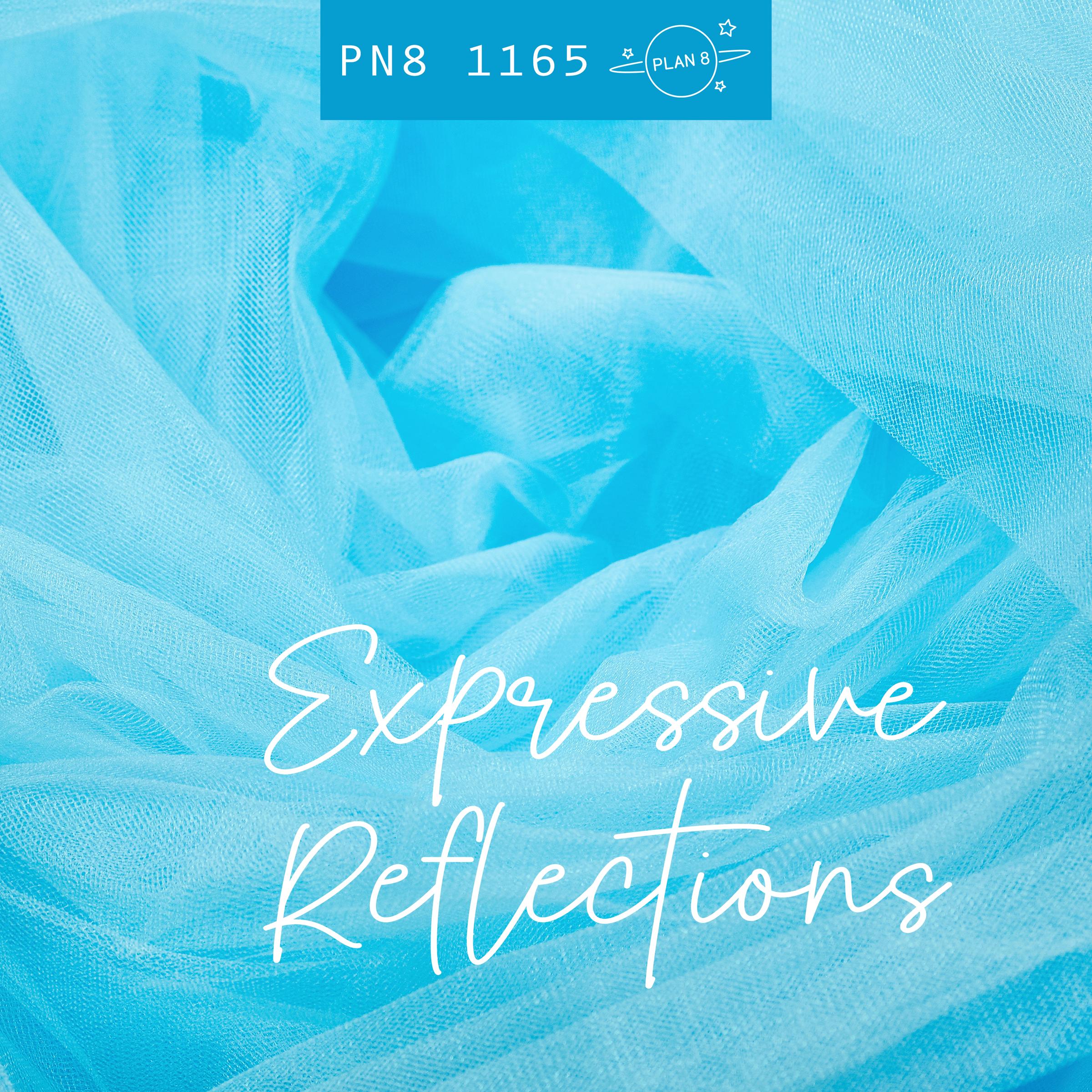 Expressive Reflections