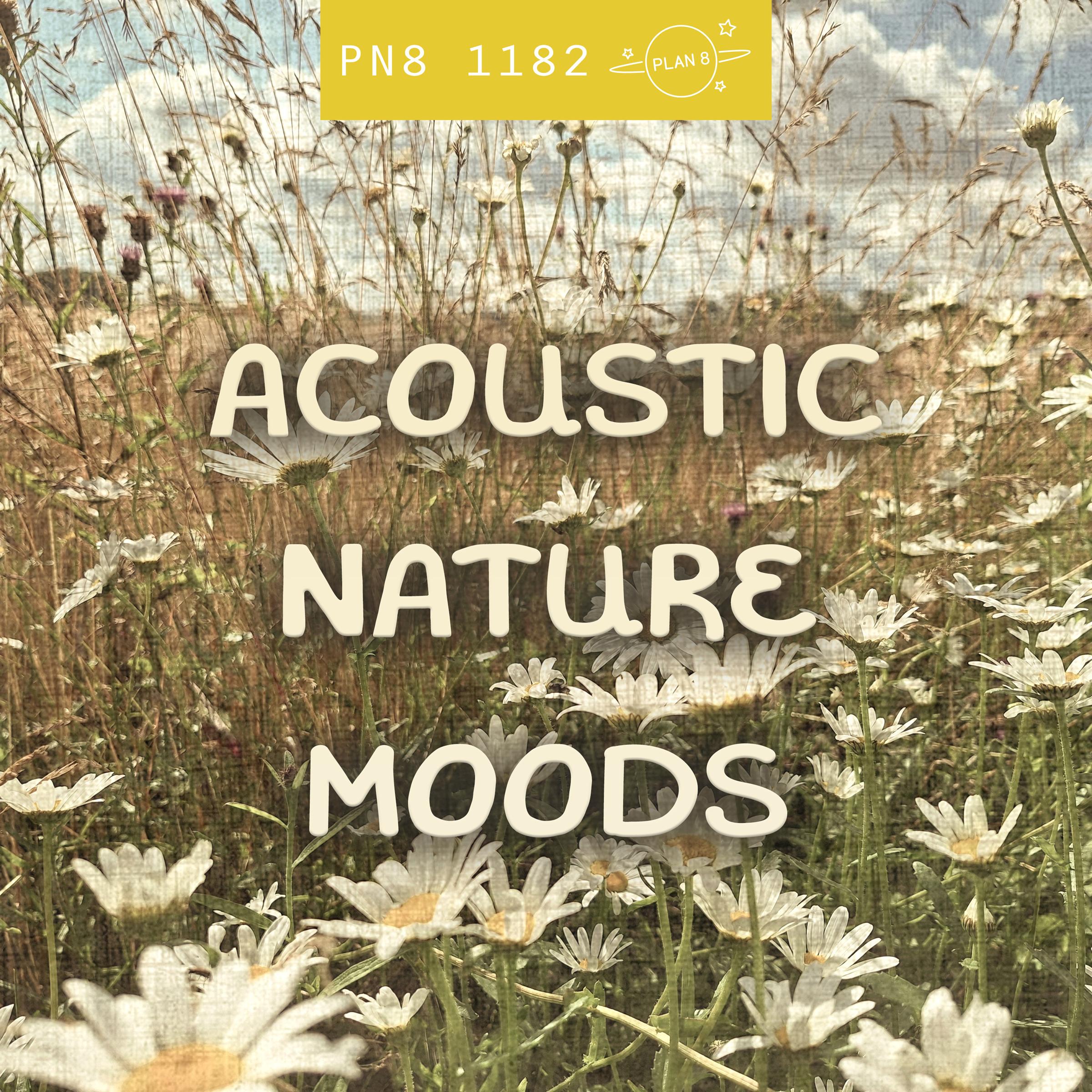 Acoustic Nature Moods