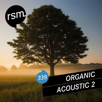 Organic Acoustic Vol. 2