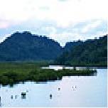 Investigation Moods Volume 6