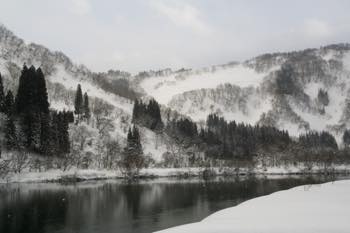 Investigation Moods 1