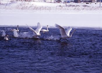 Investigation Moods 3