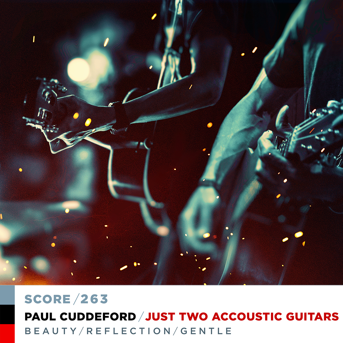 UST TWO ACOUSTIC GUITARS