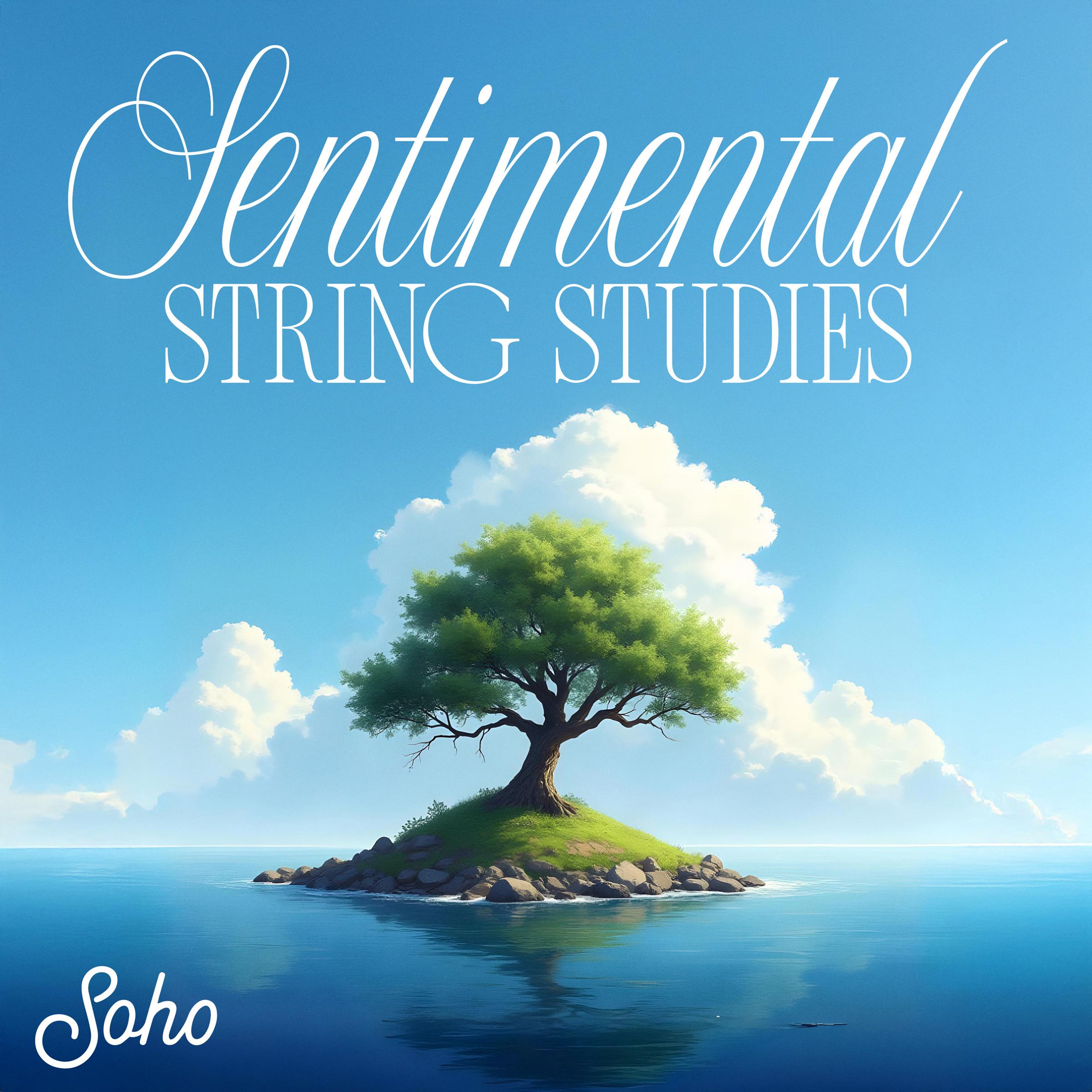 Sentimental String Studies