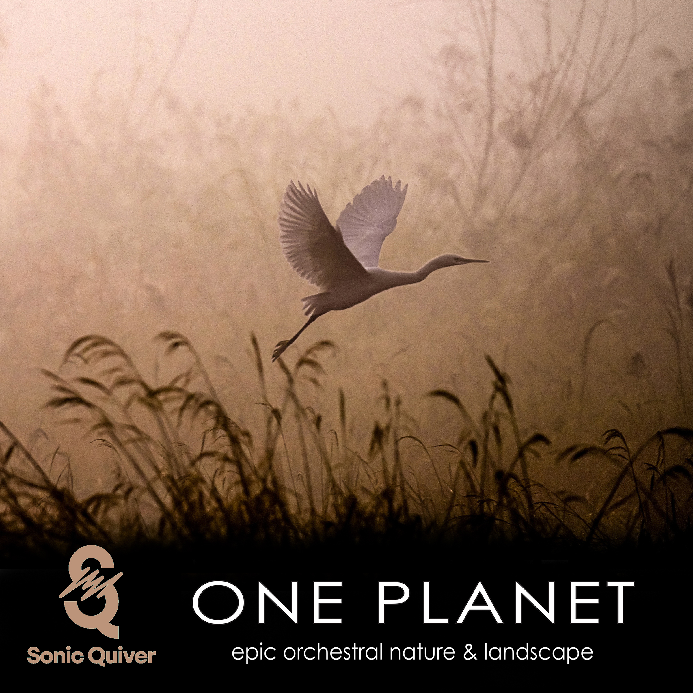 One Planet
