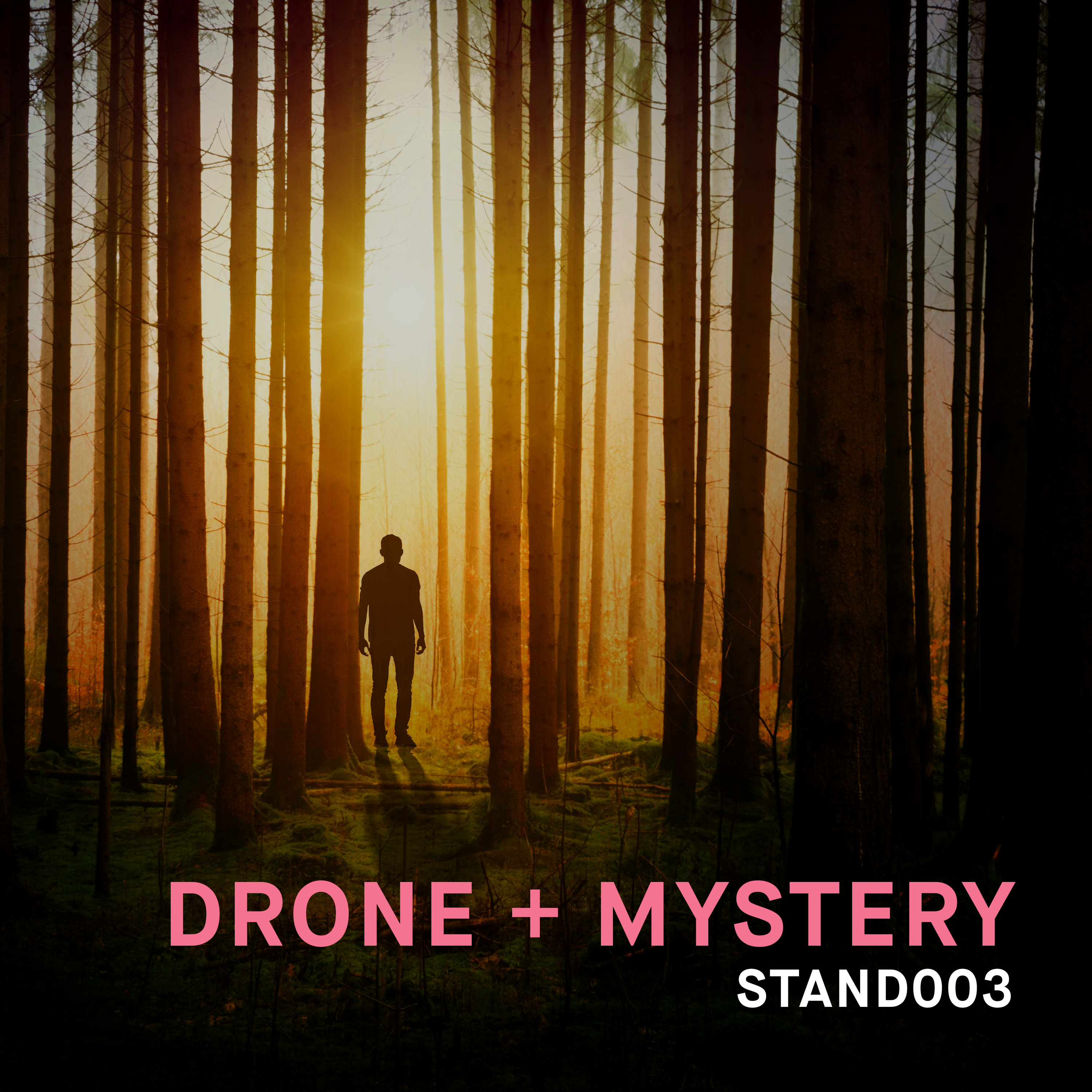 Drone + Mystery