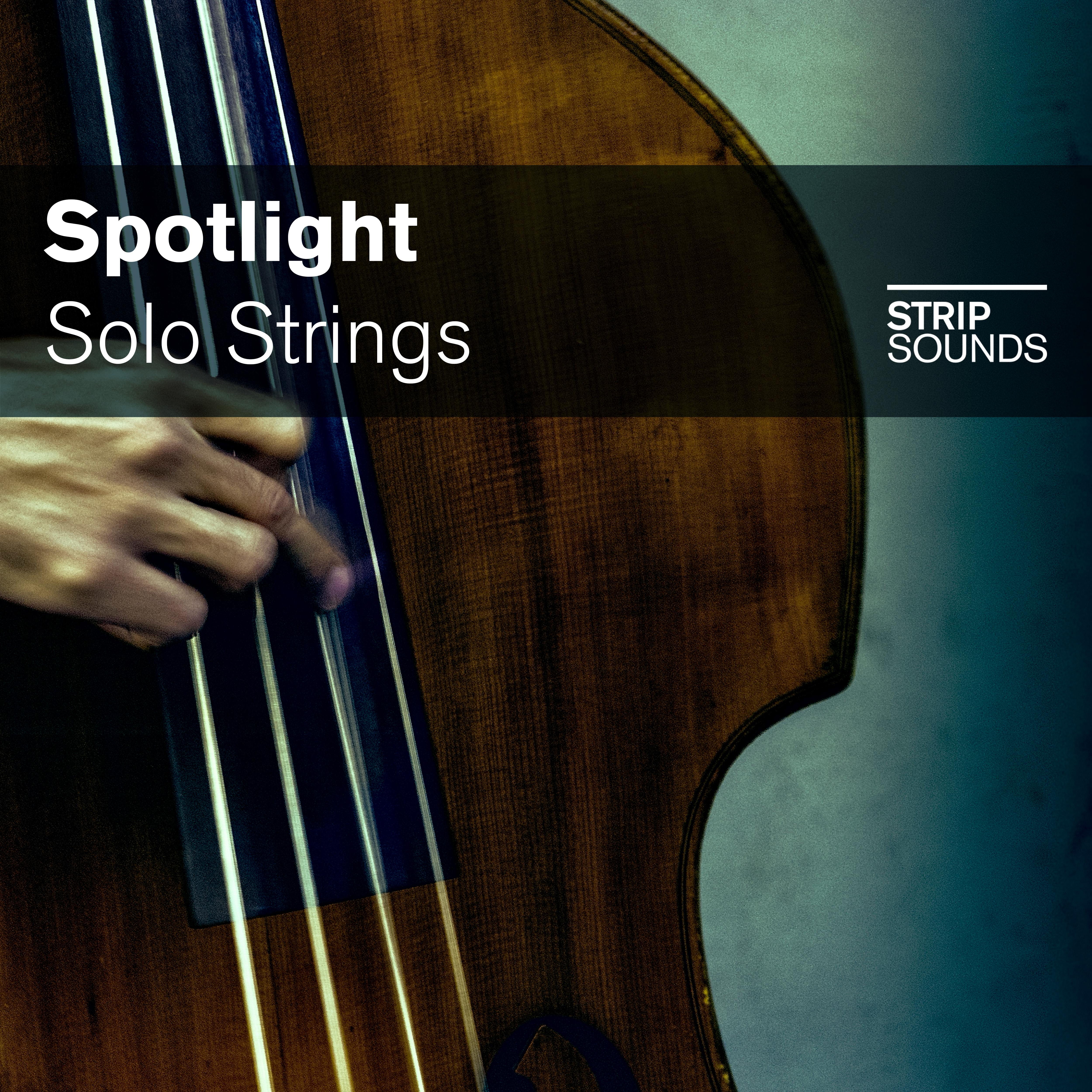 Spotlight: Solo Strings