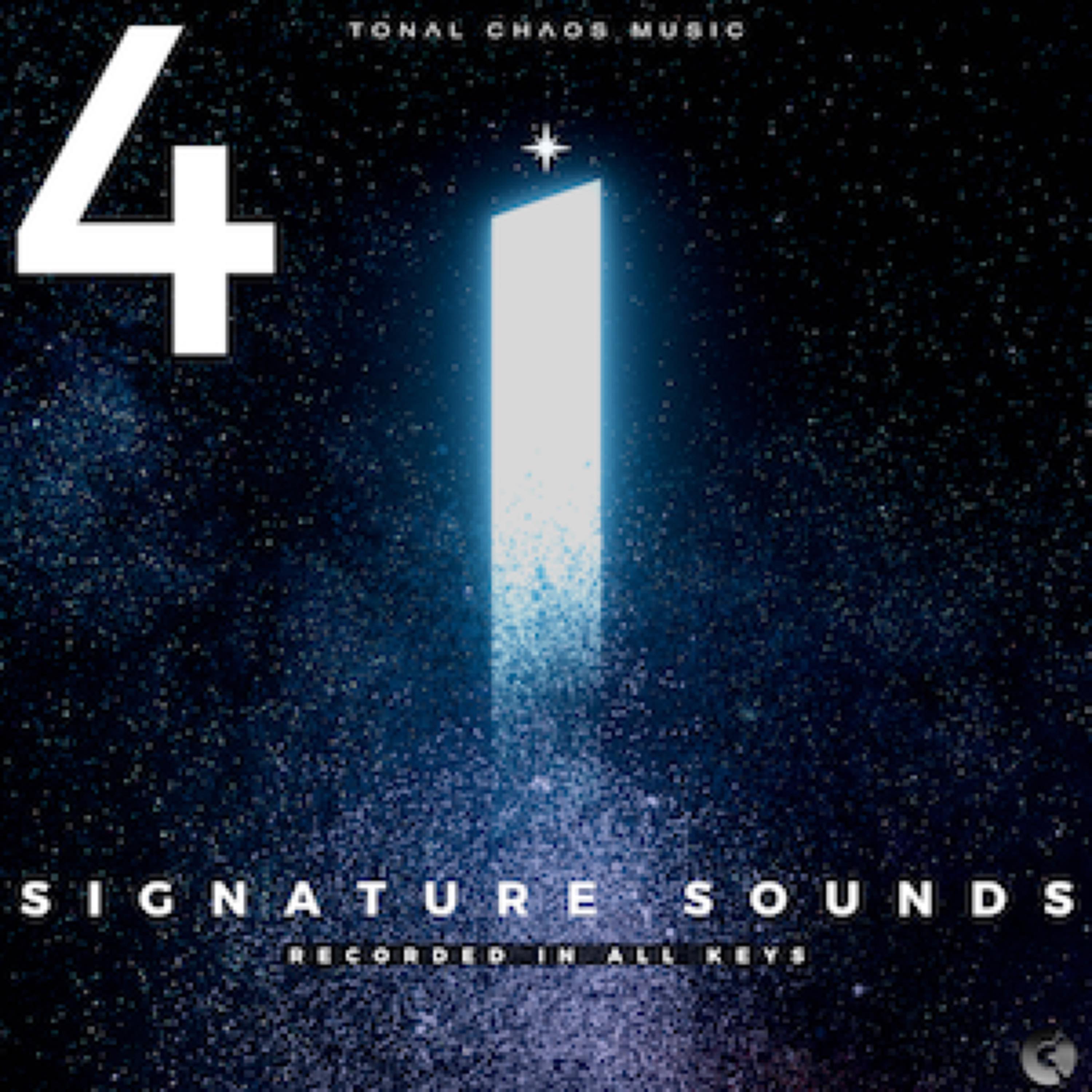 Signature Sounds - In All Keys (Vol. 4 )