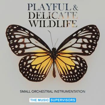 Playful and Delicate Wildlife