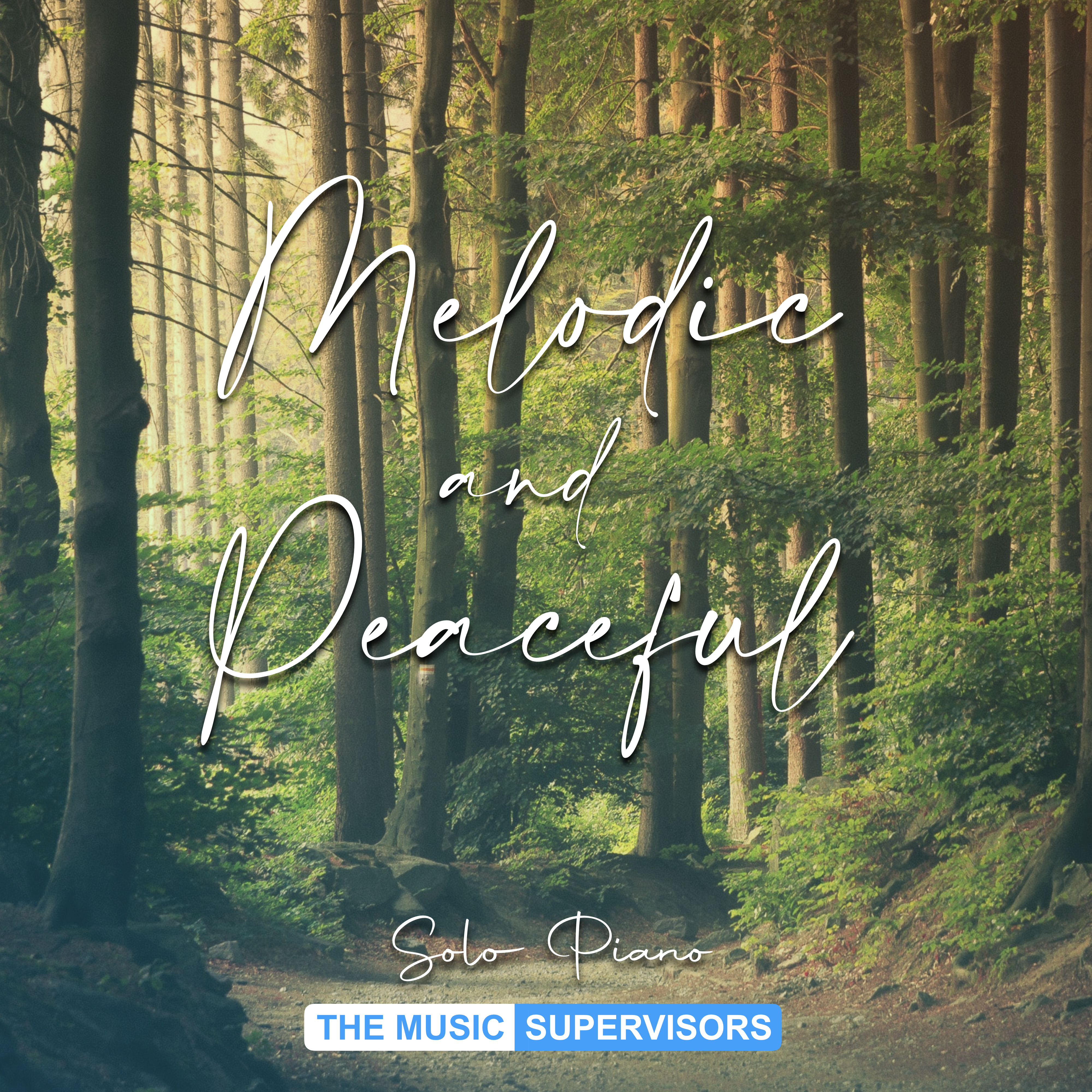 Melodic & Peaceful (Solo Piano)
