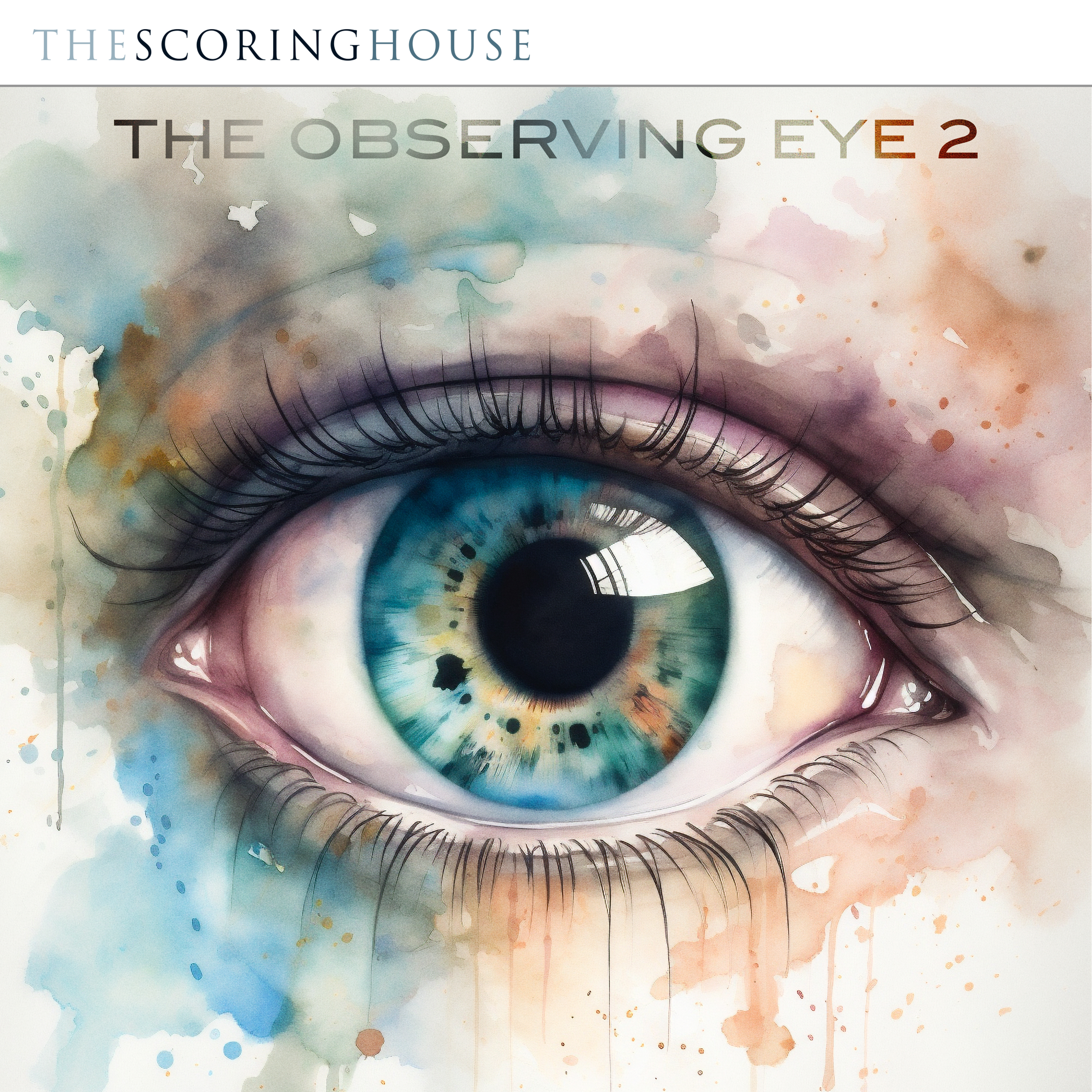 The Observing Eye 2