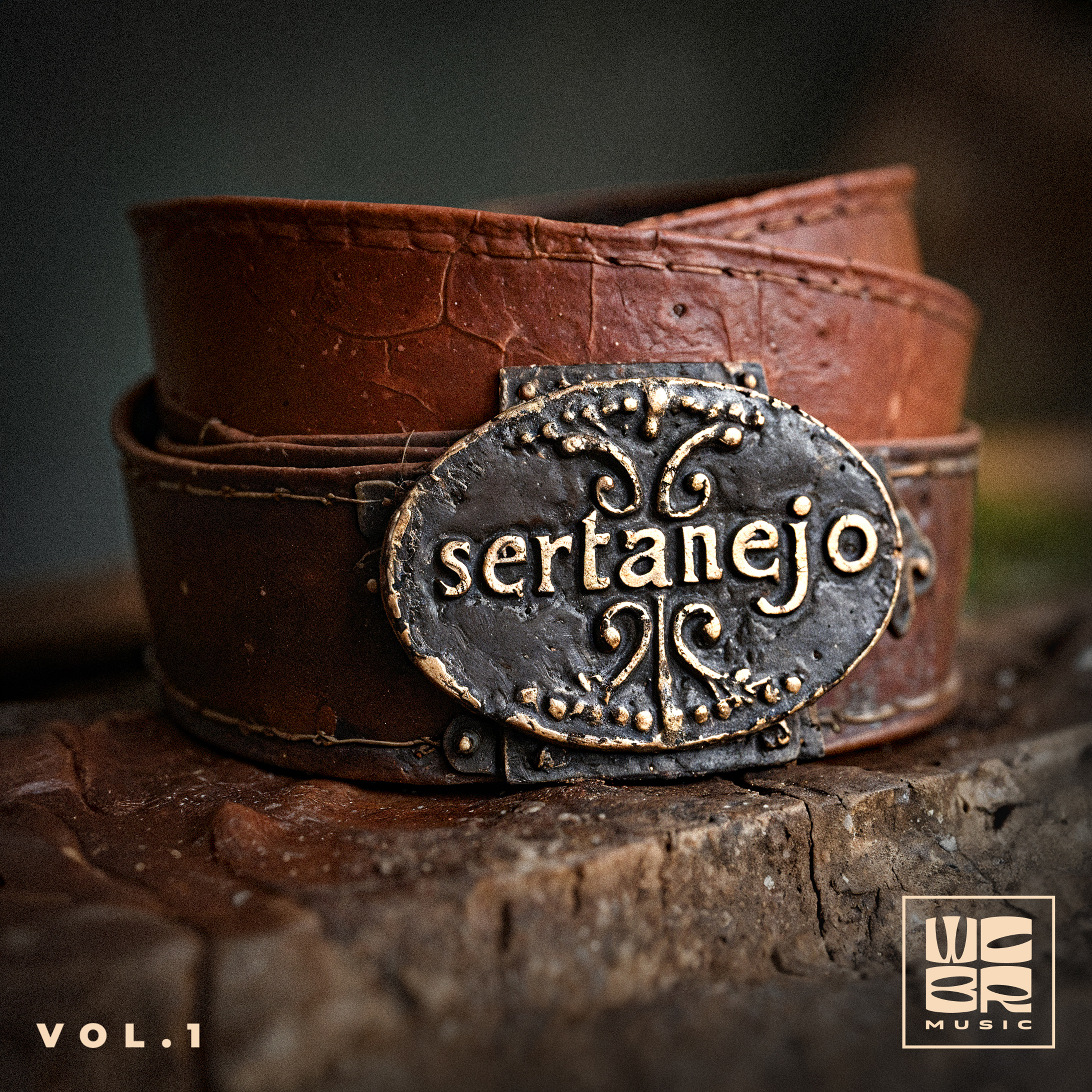 Sertanejo Vol. 1