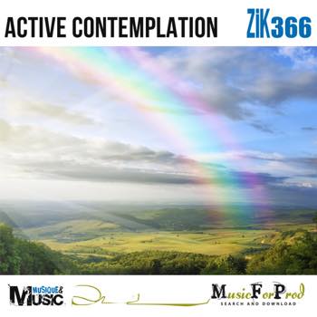 Active Contemplation 