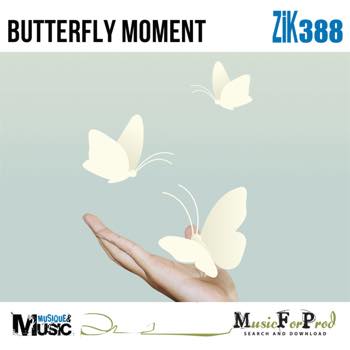 Butterfly Moment