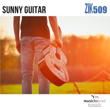 Sunny Guitar
