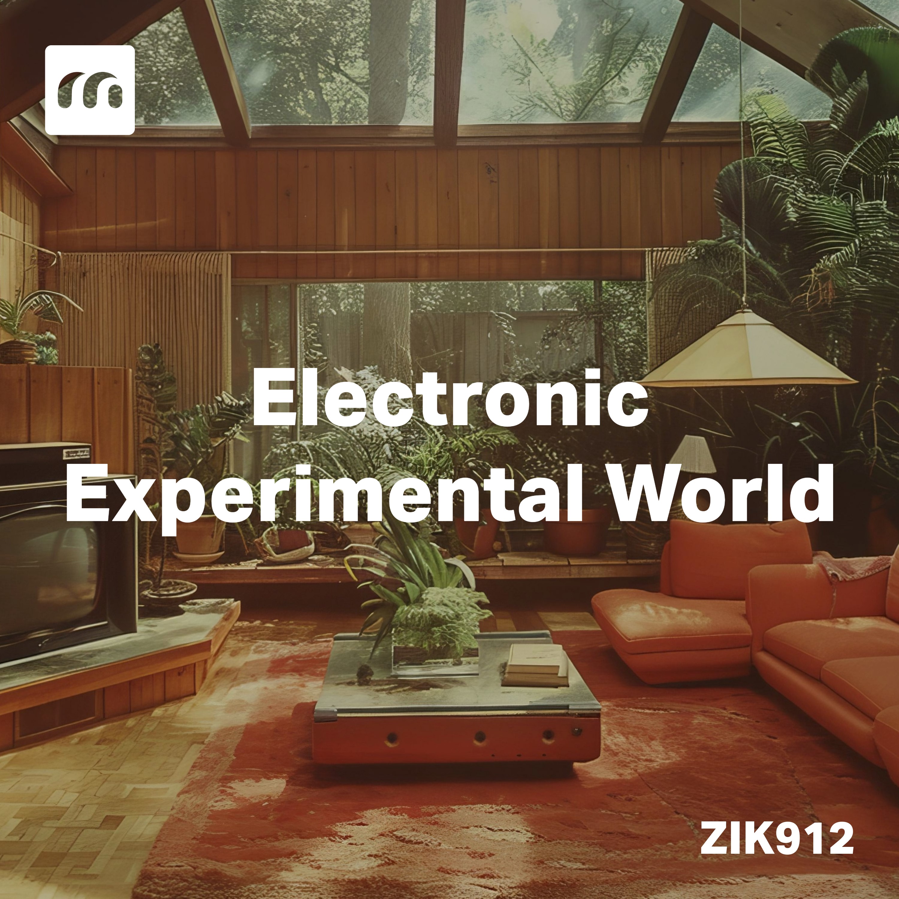 Electronic Experimental World