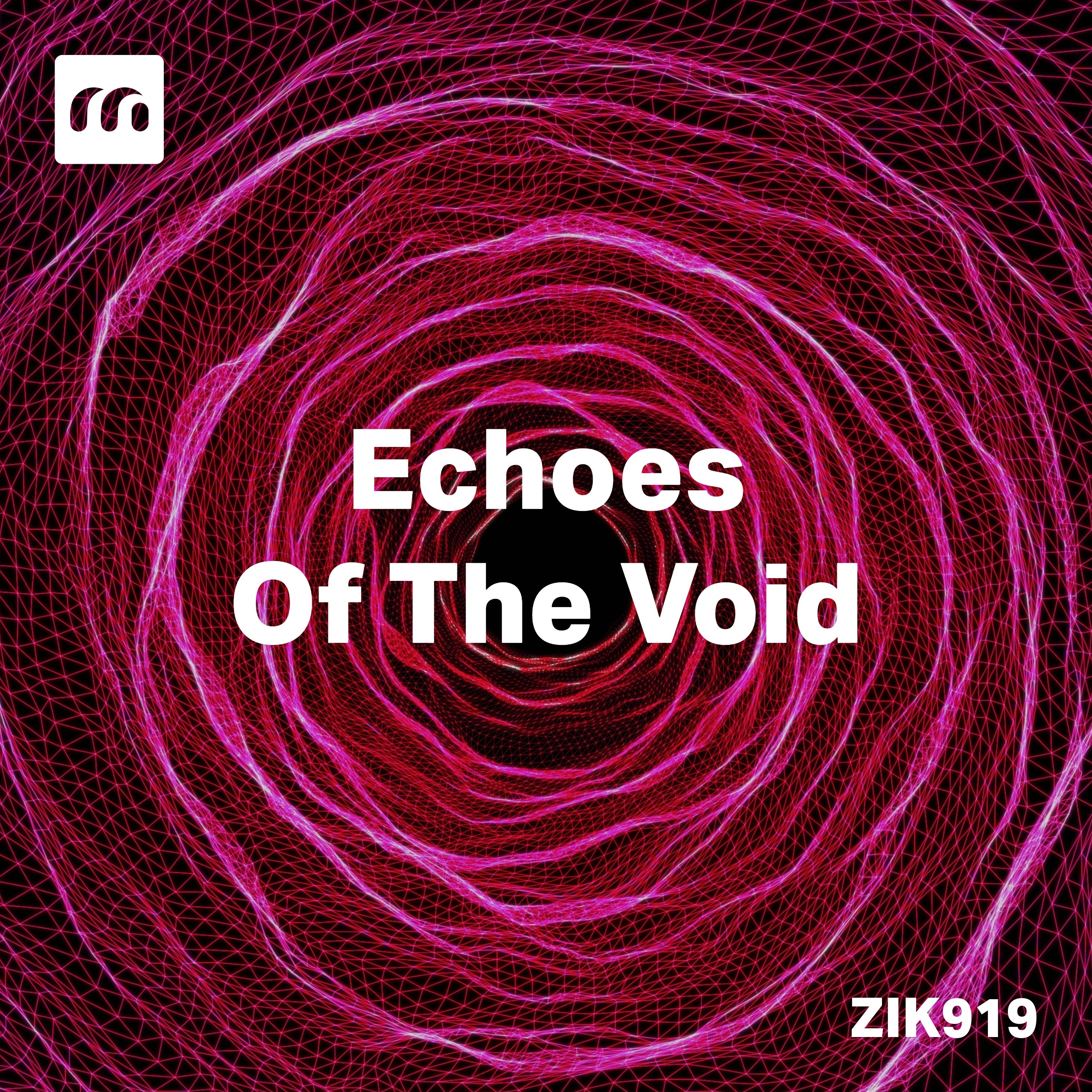 Echoes Of The Void