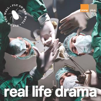 Fly On The Wall - Real Life Drama