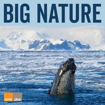 Big Nature