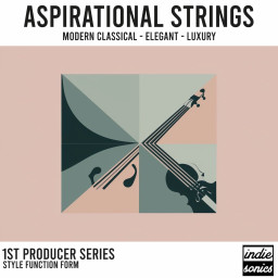 Aspirational Strings