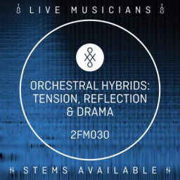 Orchestral Hybrids-Tension,Reflection & Drama