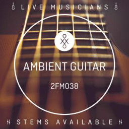 Ambient Guitar